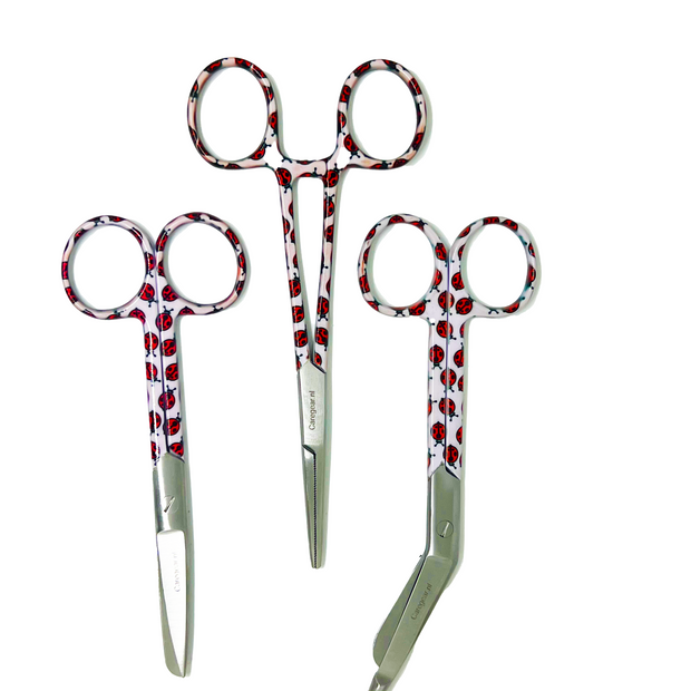 3 delig scharen set verpleegkundige Lieveheersbeestje (naam graveren)